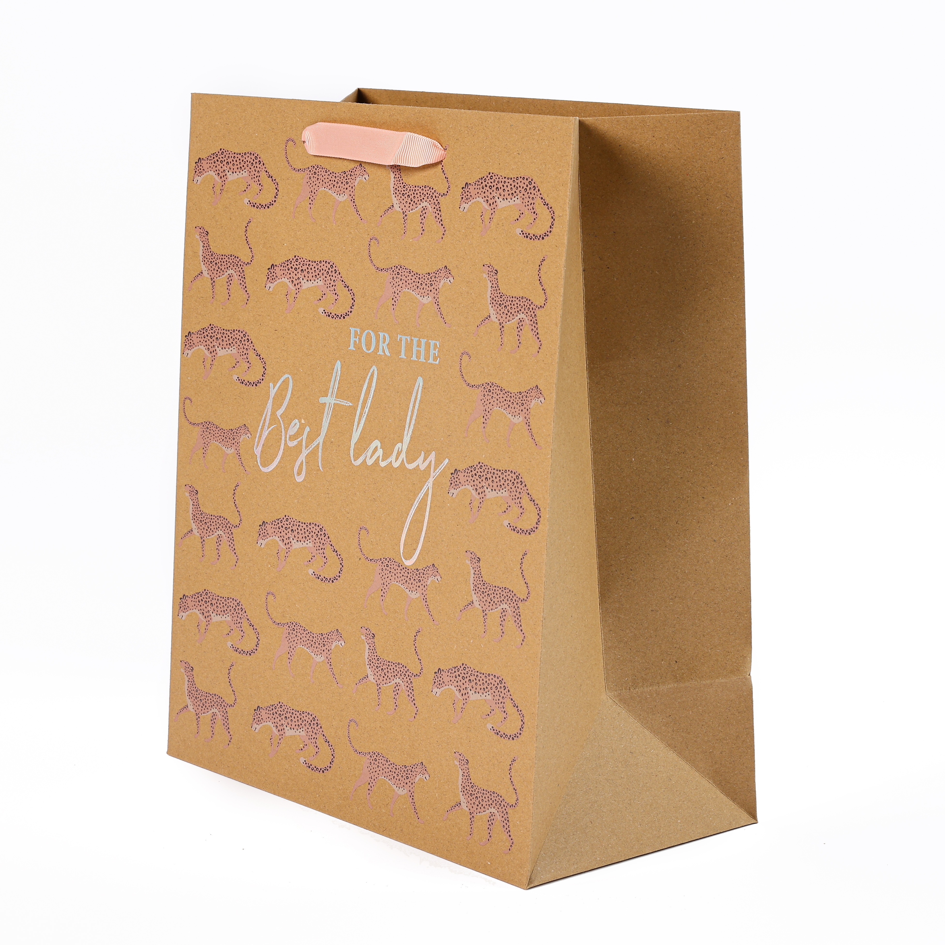 Pink Leopard Birthday Gift Bag KT028